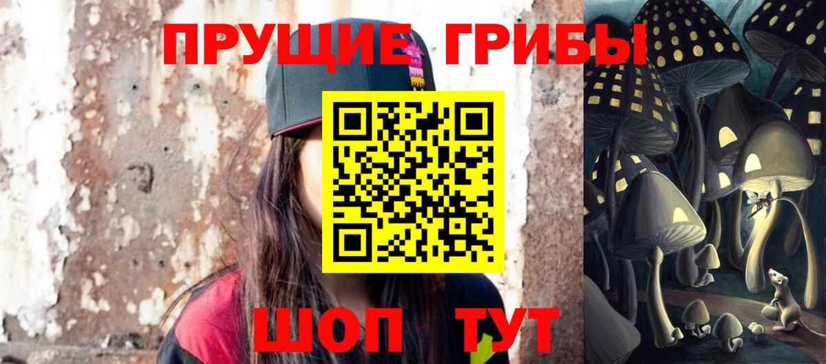 Псилоцибиновые грибы Cubensis Луга