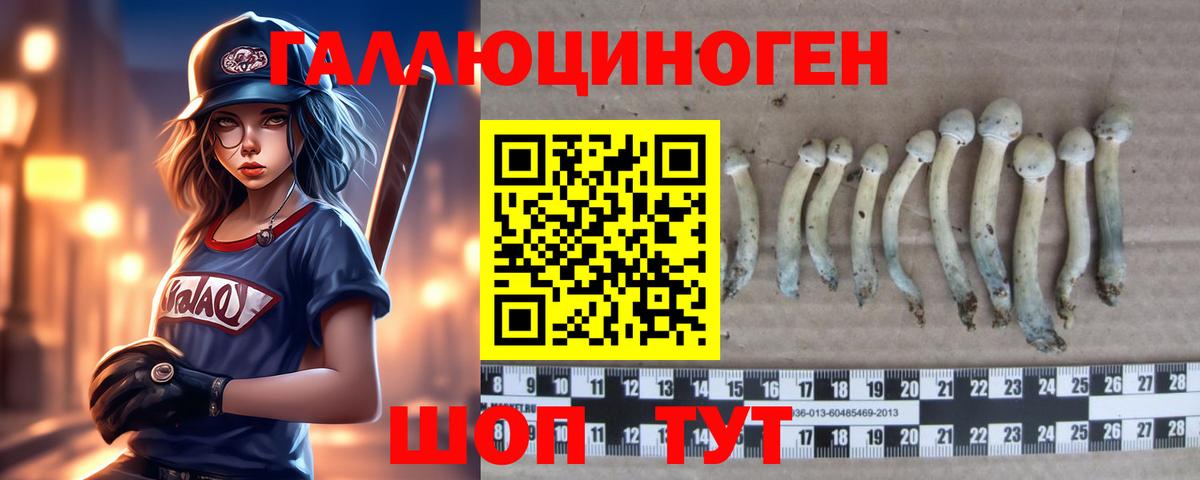 Псилоцибиновые грибы ЛСД  Галлюциногенные грибы MAGIC MUSHROOMS  как найти наркотики  Вход с VPN  Луга 